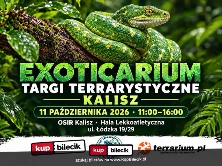 Exoticarium  - Targi Terrarystyczne + Wystawa Pająków