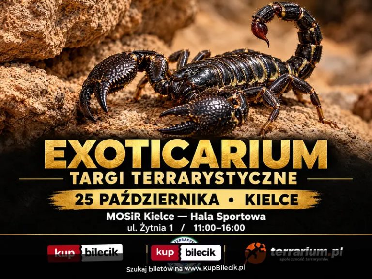 Exoticarium  - Targi Terrarystyczne + Wystawa Pająków