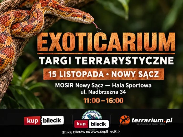 Exoticarium  - Targi Terrarystyczne + Wystawa Pająków