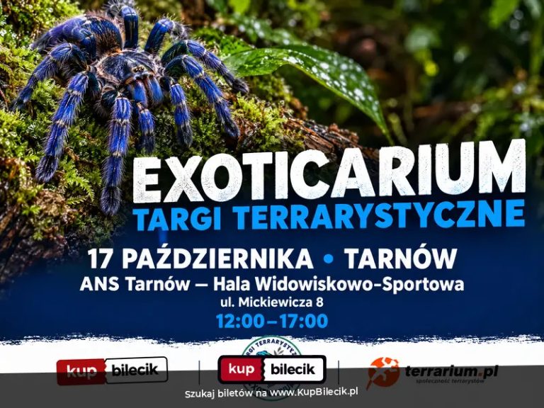 Exoticarium  - Targi Terrarystyczne + Wystawa Pająków