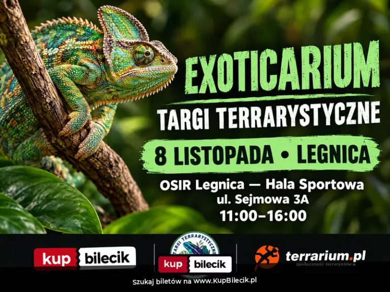 Exoticarium  - Targi Terrarystyczne + Wystawa Pająków