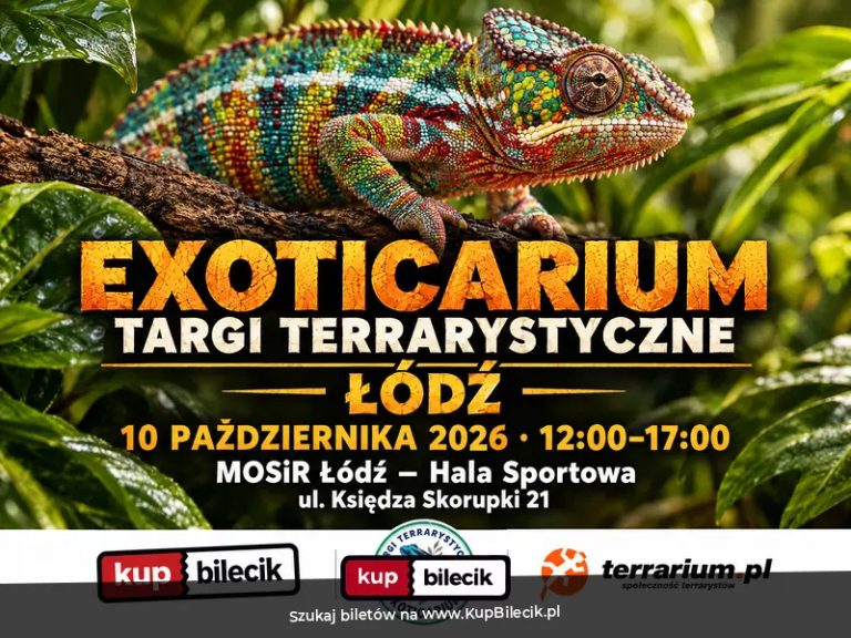 Exoticarium  - Targi Terrarystyczne + Wystawa Pająków