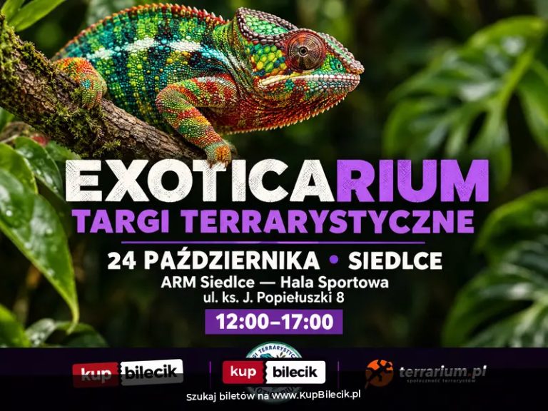 Exoticarium  - Targi Terrarystyczne + Wystawa Pająków