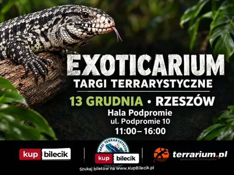 Exoticarium  - Targi Terrarystyczne + Wystawa Pająków