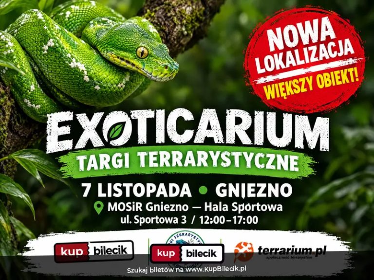Exoticarium  - Targi Terrarystyczne + Wystawa Pająków