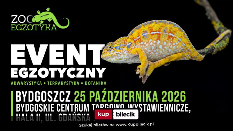 Ekskluzywni Wystawcy: ZooEgzotyka Bydgoszcz