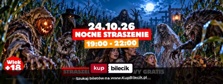 Labirynt w Polu Kukurydzy Zator