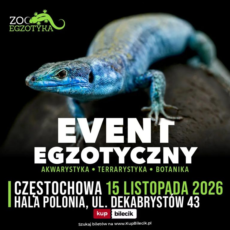 Ekskluzywni Wystawcy: ZooEgzotyka Częstochowa!