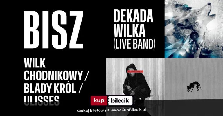 Jarosław Jaruszewski: Koncert Bisz (B.O.K)