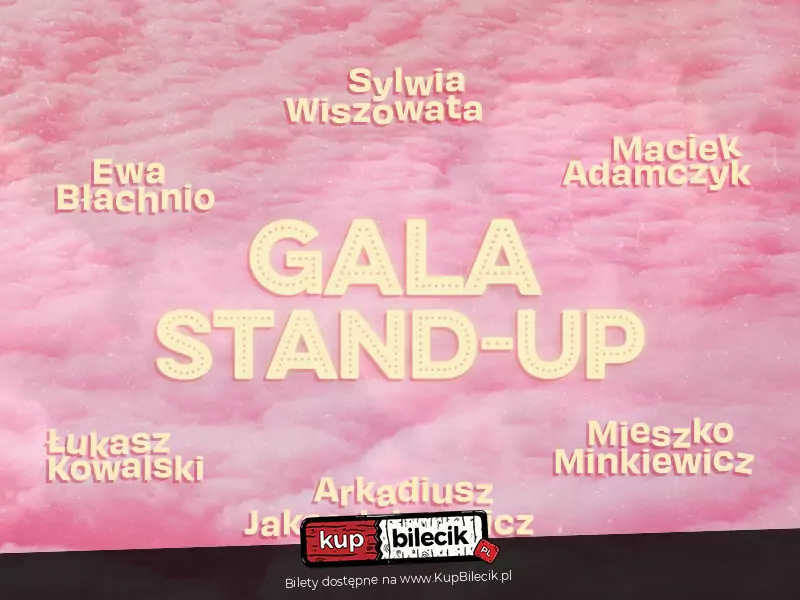 BiG Festivalowski - Gala Stand-up